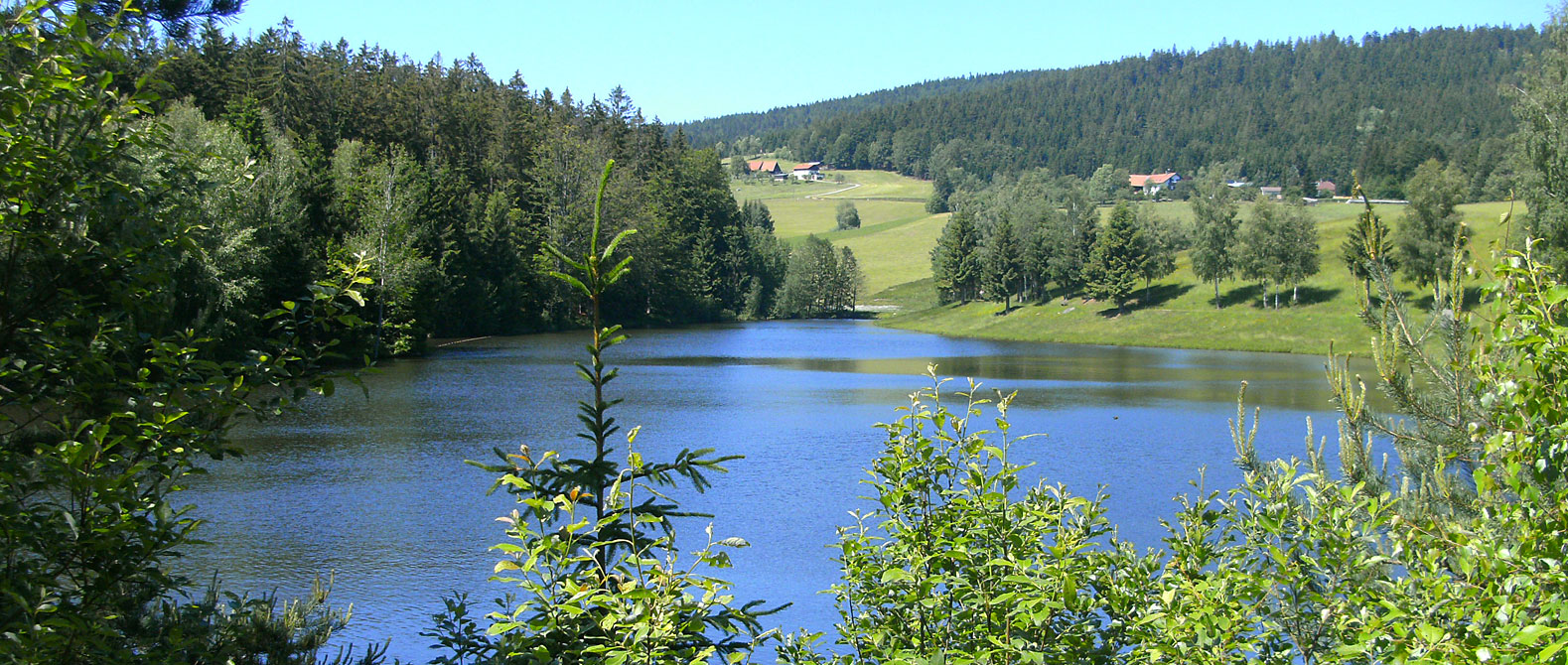 Urlaub im Dreiländereck Bayerischer Wald
